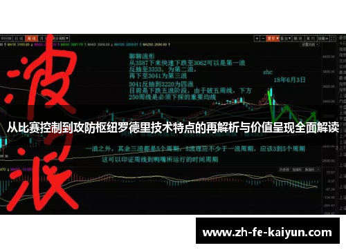 从比赛控制到攻防枢纽罗德里技术特点的再解析与价值呈现全面解读